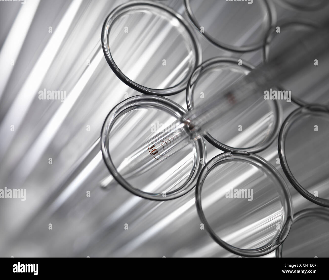 Close up of pipette in test tube Stock Photo