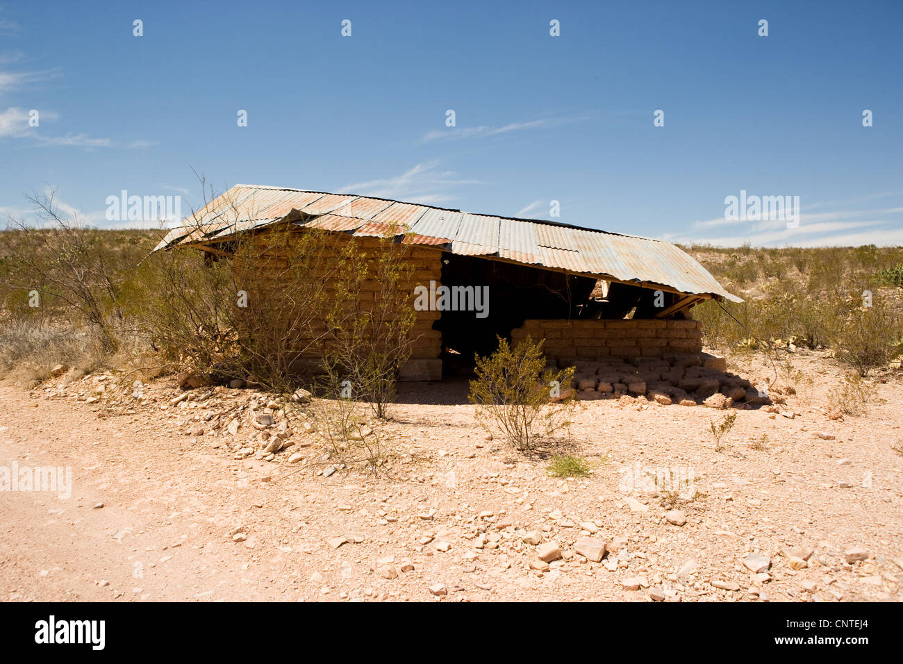 Black Gap Wildlife Management Area, Texas Stock Photo