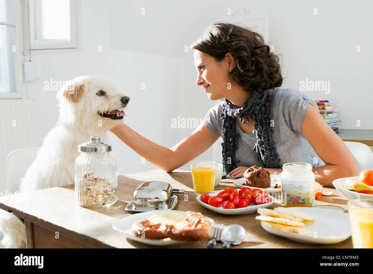 Woman petting dog at table Stock Photo