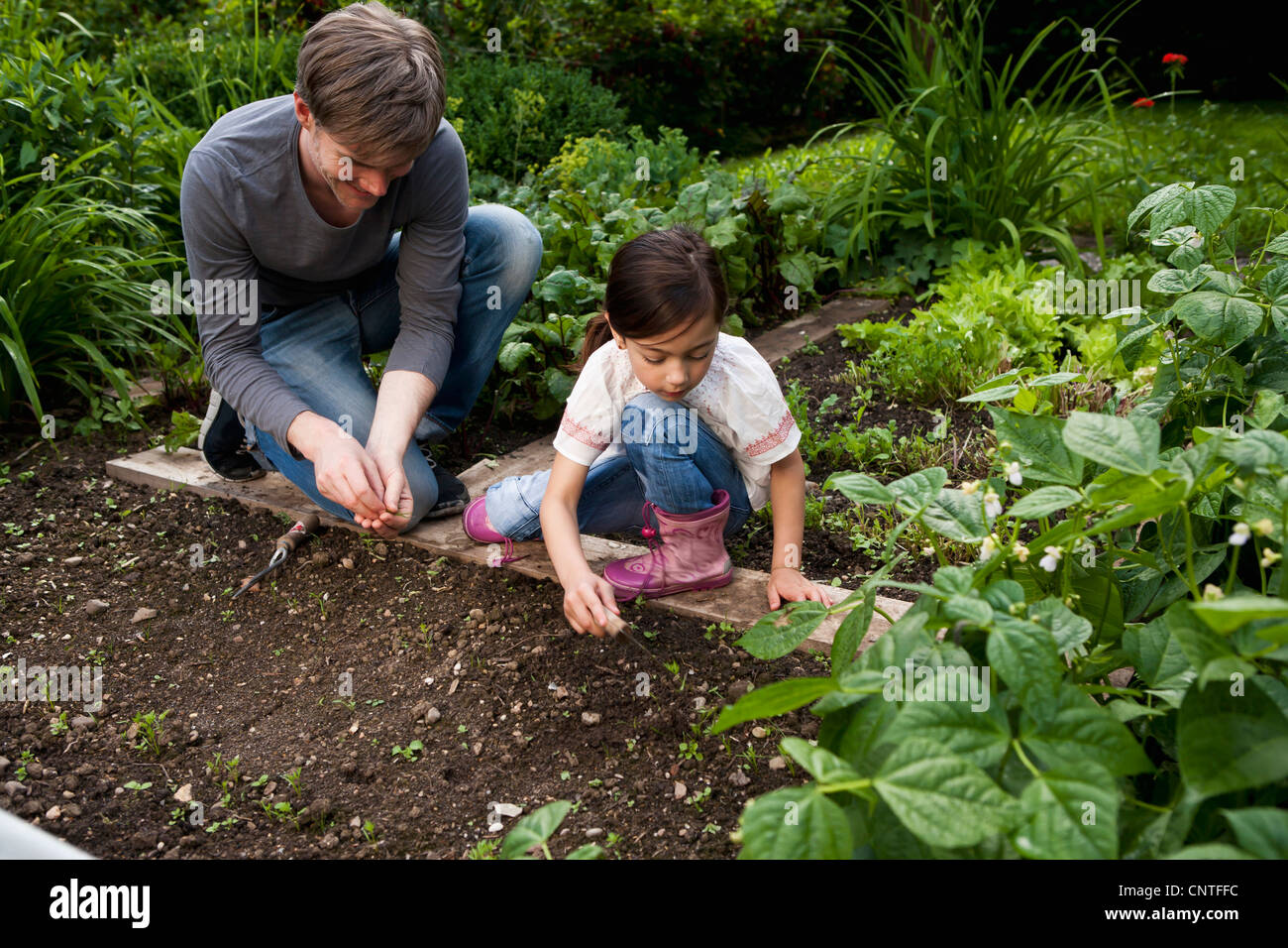 father-and-daughter-gardening-together-stock-photo-alamy
