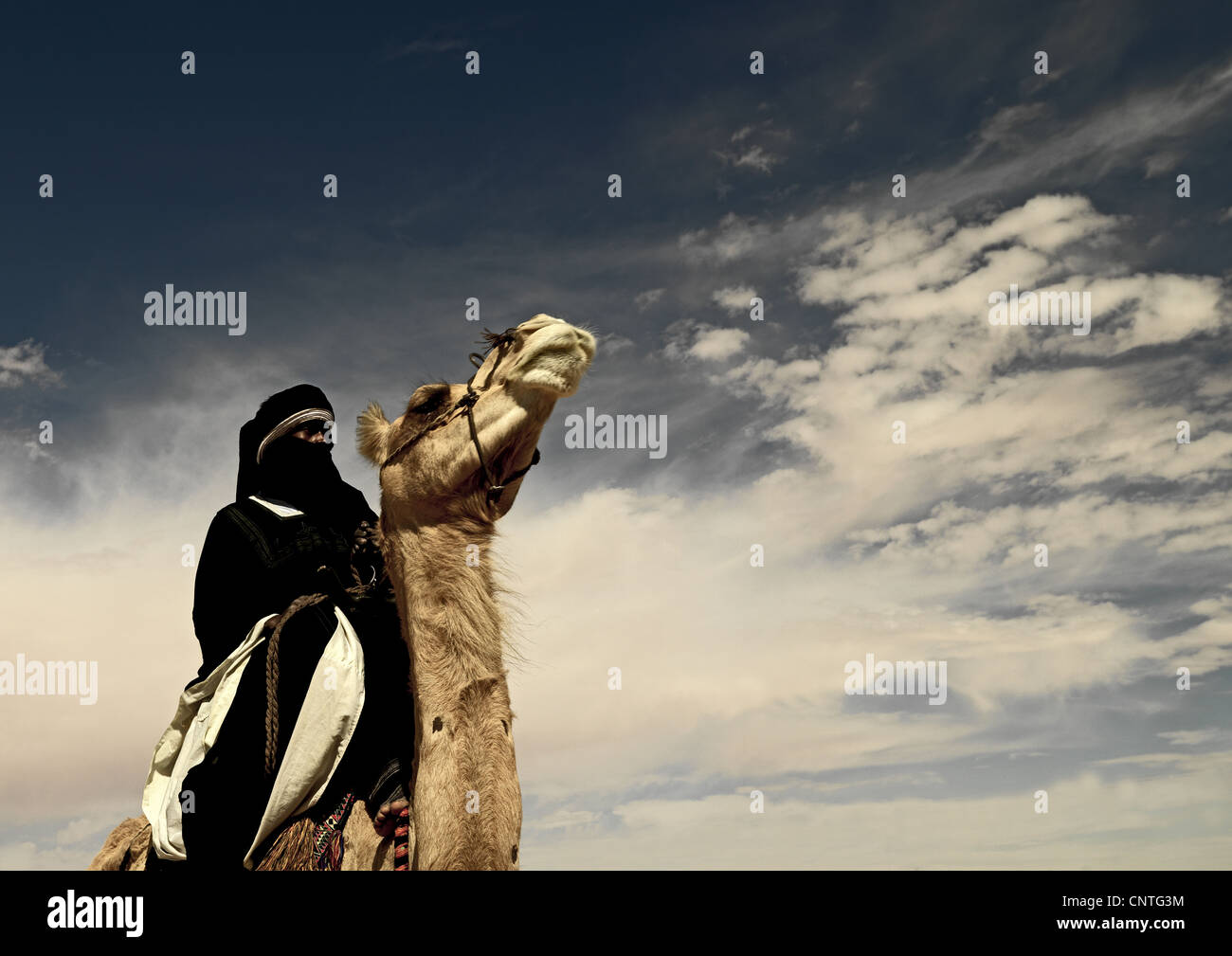 Мусульманский воин. Воин Бедуин Туарег. Туареги Ахаггара. Воин пустыни. Мусульманин в пустыне.