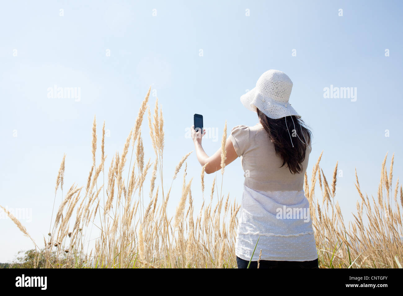 Woman reading phone rear view hi-res stock photography and images - Alamy