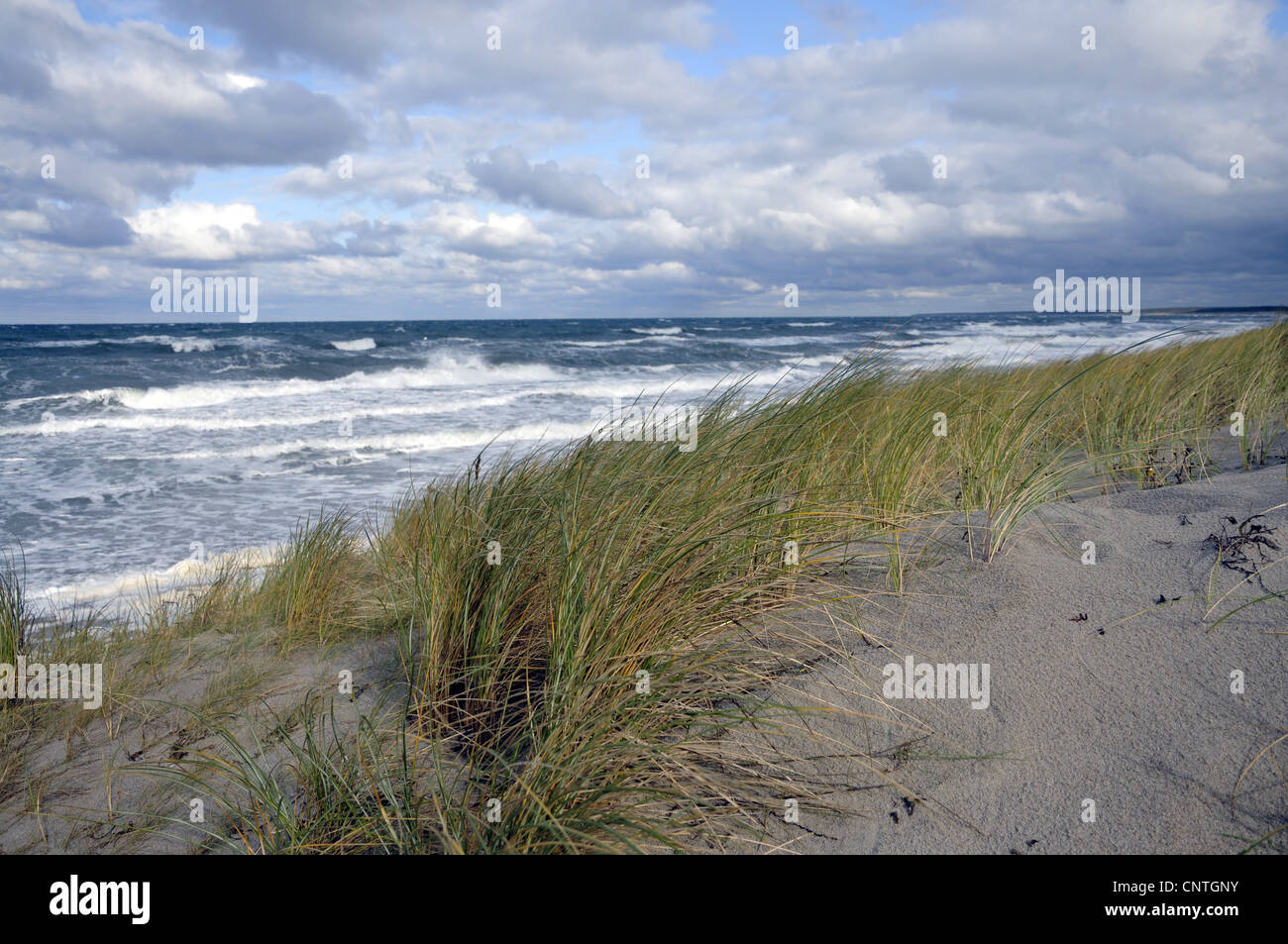 view over a dune at the open sea, Germany, Mecklenburg Vorpommern, Western Pomerania Lagoon Area National Park Stock Photo