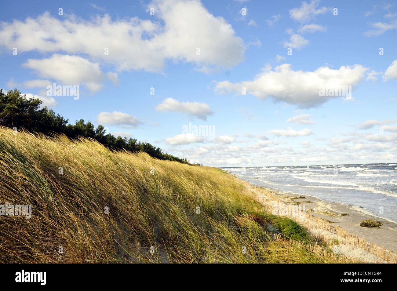 view over a dune at the open sea, Germany, Mecklenburg Vorpommern, Western Pomerania Lagoon Area National Park Stock Photo