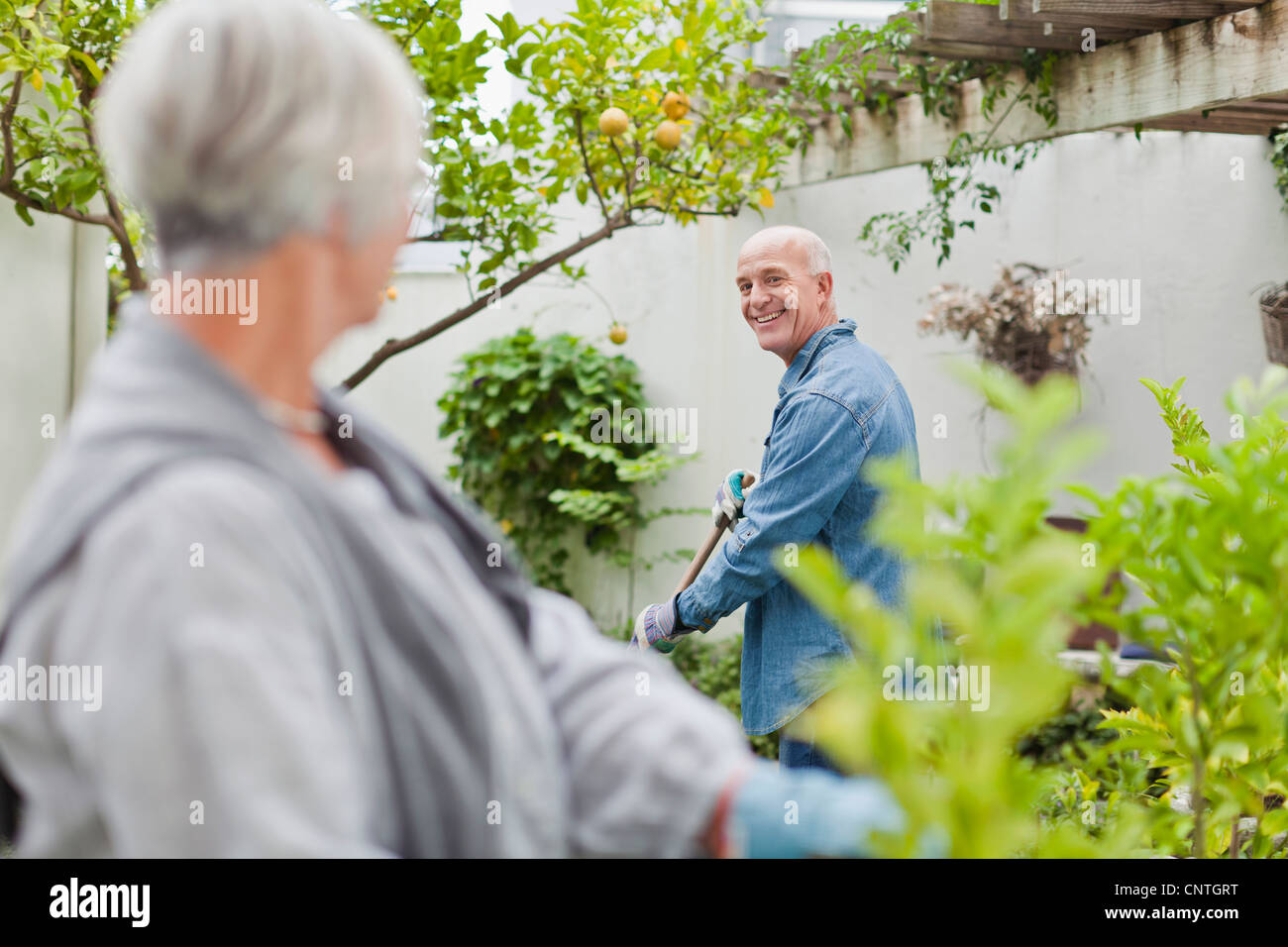 Older couple gardening in backyard Stock Photo - Alamy
