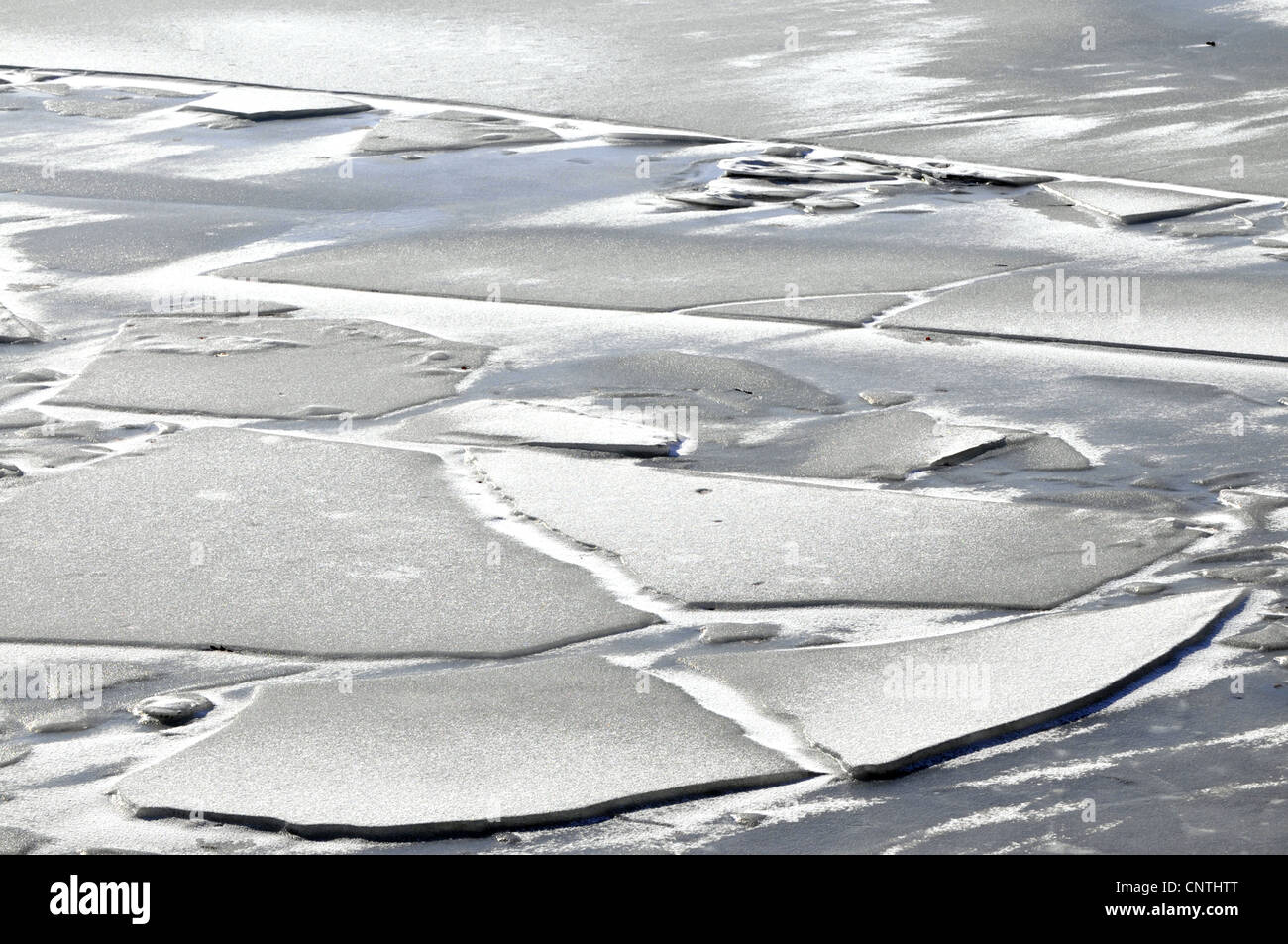 frozen up lake, Germany, North Rhine-Westphalia Stock Photo