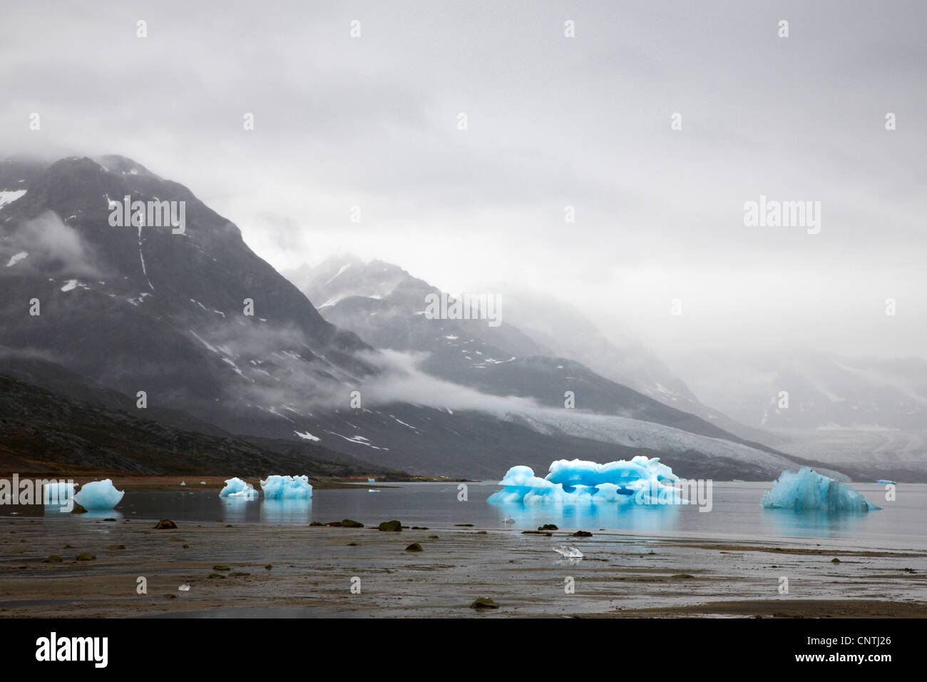 blue iceberg neat Kaerale glacier, Sermiligaq Fjord, Greenland, Ammassalik, East Greenland, Sermiligaq Stock Photo