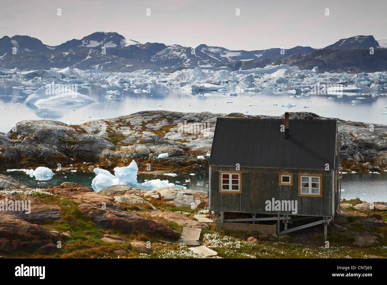 lonesome house at coast, Greenland, Ammassalik, East Greenland, Tiniteqilaq Stock Photo
