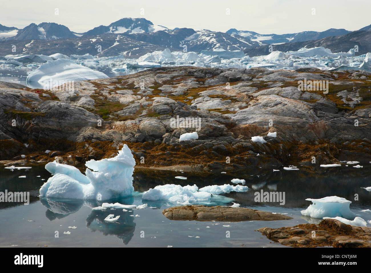view to Sermilik Fjord, Greenland, Ammassalik, East Greenland, Tiniteqilaq Stock Photo