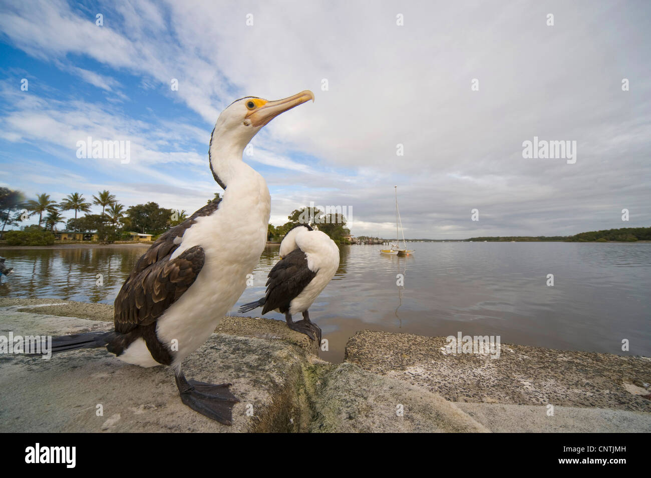 Bayou boat house hires stock photography and images Alamy