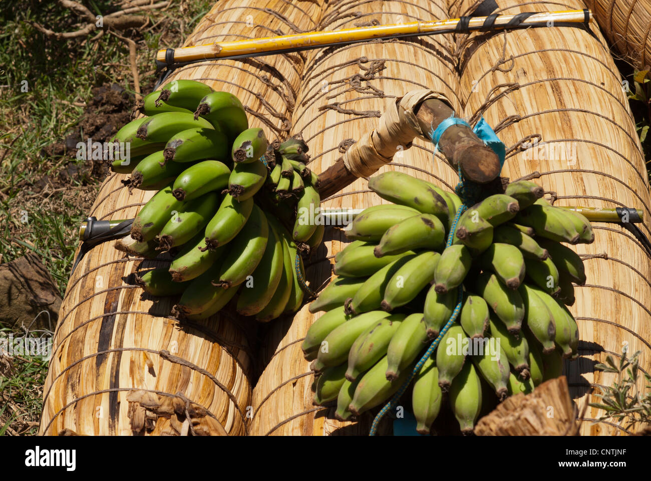 Bunch of bananas on traditional canoe Easter Island Stock Photo