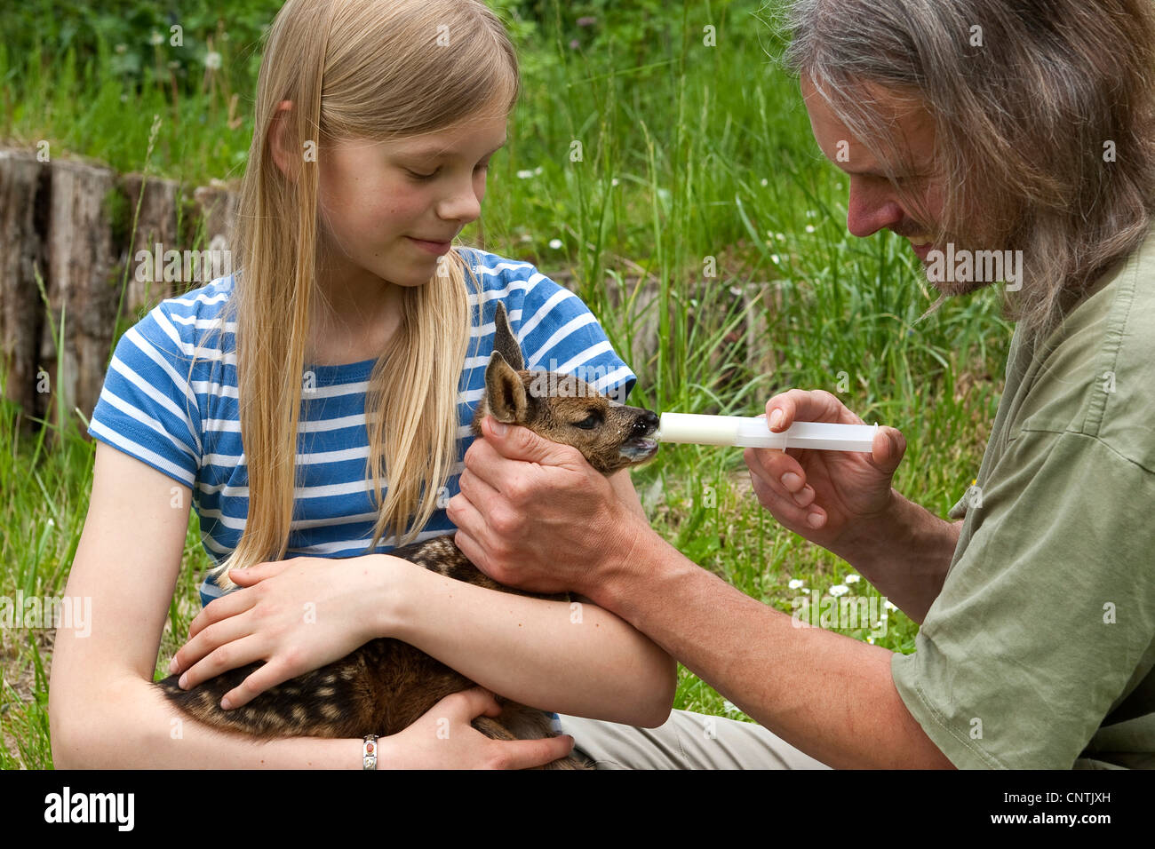 roe deer (Capreolus capreolus), fawn in the arms of a girl is feeded with an injection, Germany Stock Photo