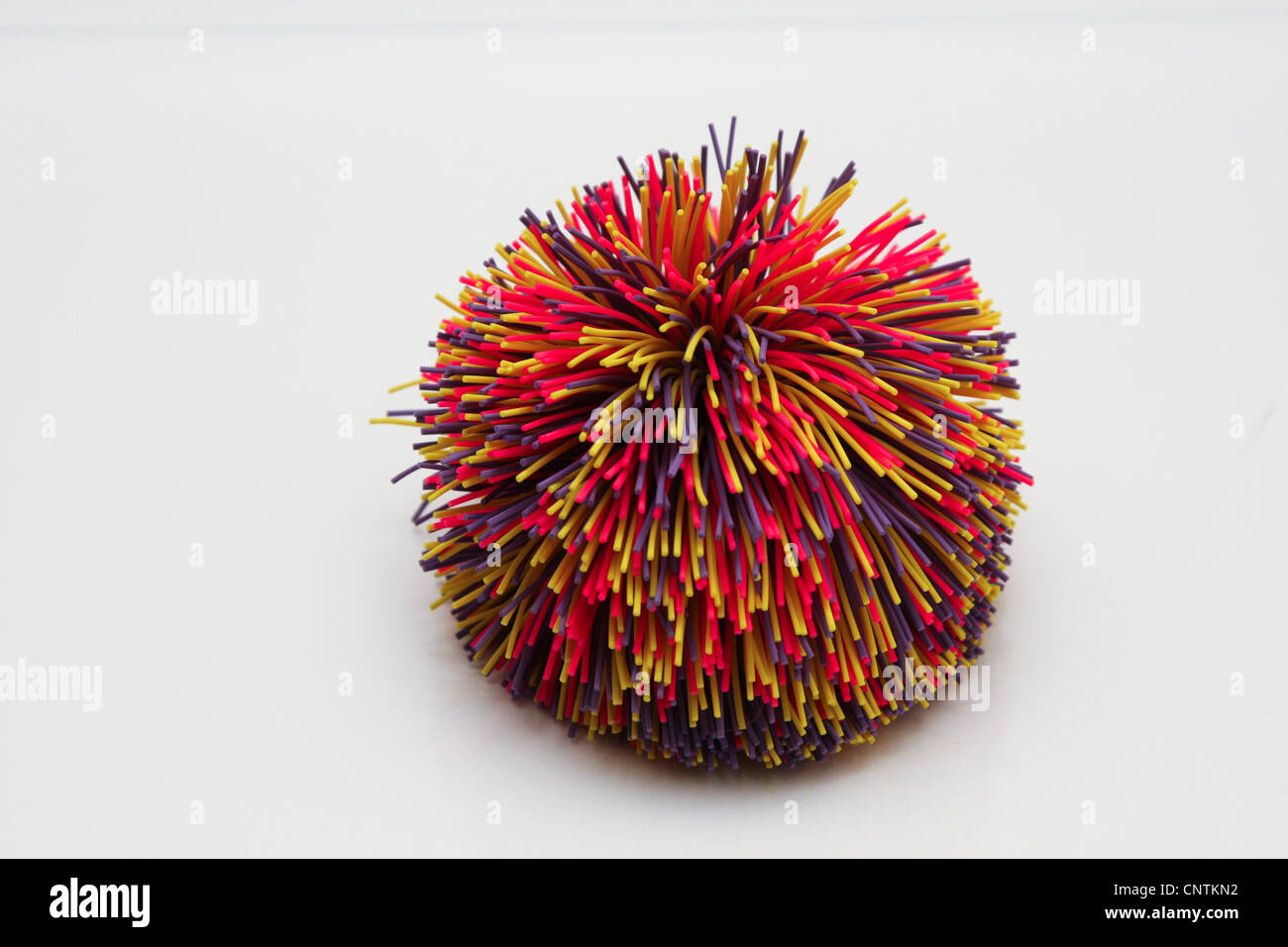 spikey ball toy