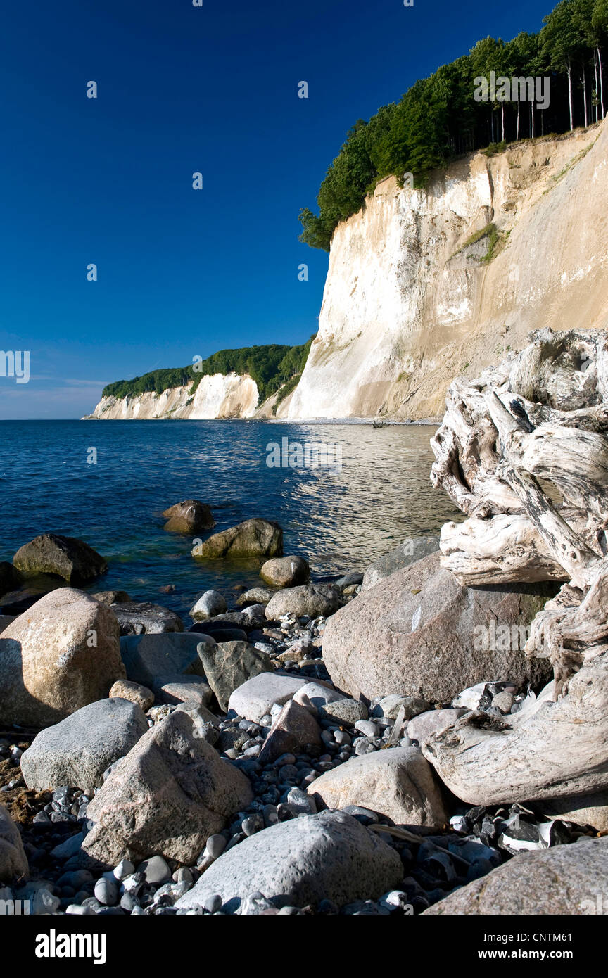 In the jasmund national park hi-res stock photography and images - Alamy