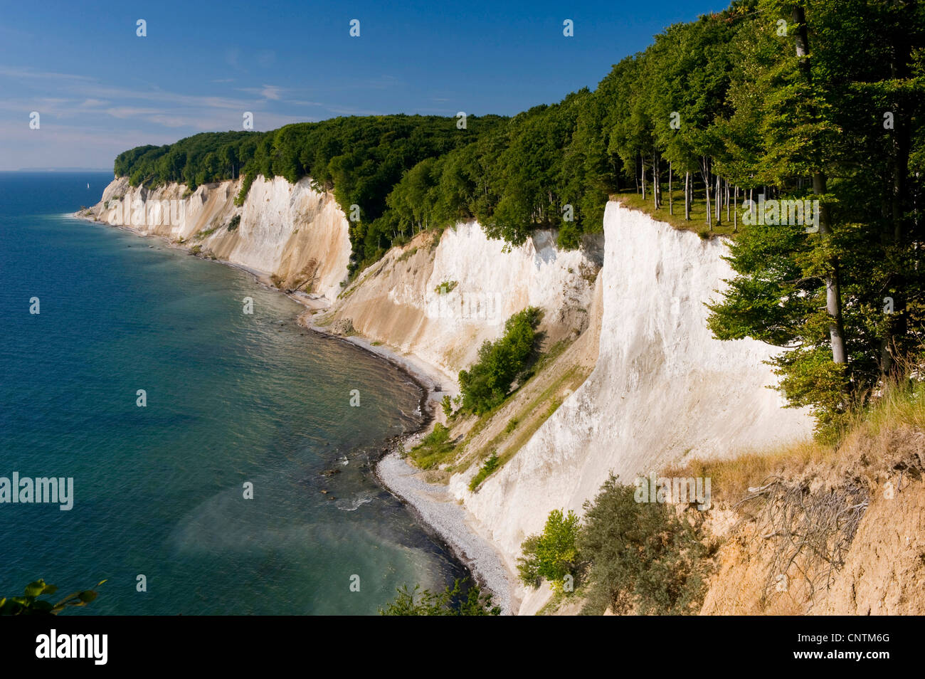 chalk cliff in Jasmund National Park, Germany, Mecklenburg-Western ...