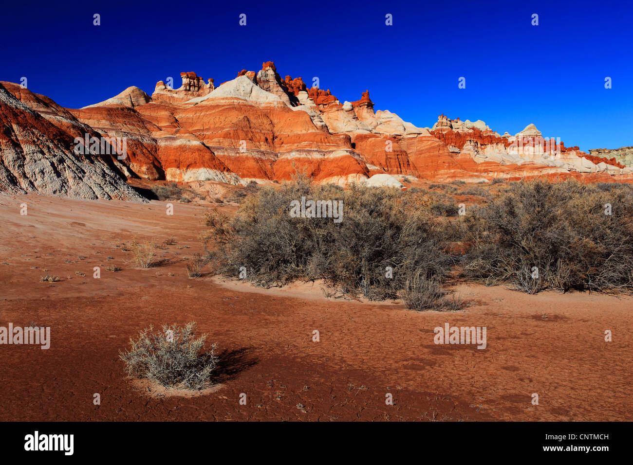 Blue Canyon, red and white limestone, USA, Arizona Stock Photo - Alamy