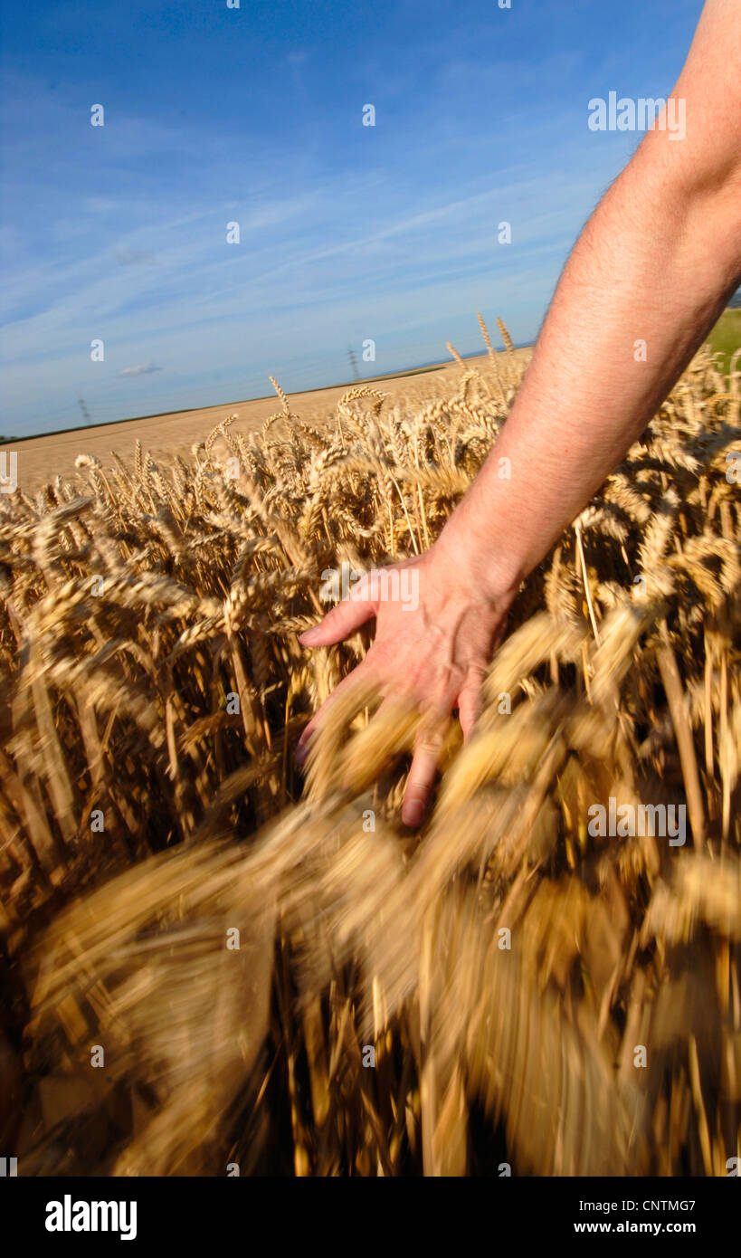 Hand gripping plants hi-res stock photography and images - Alamy
