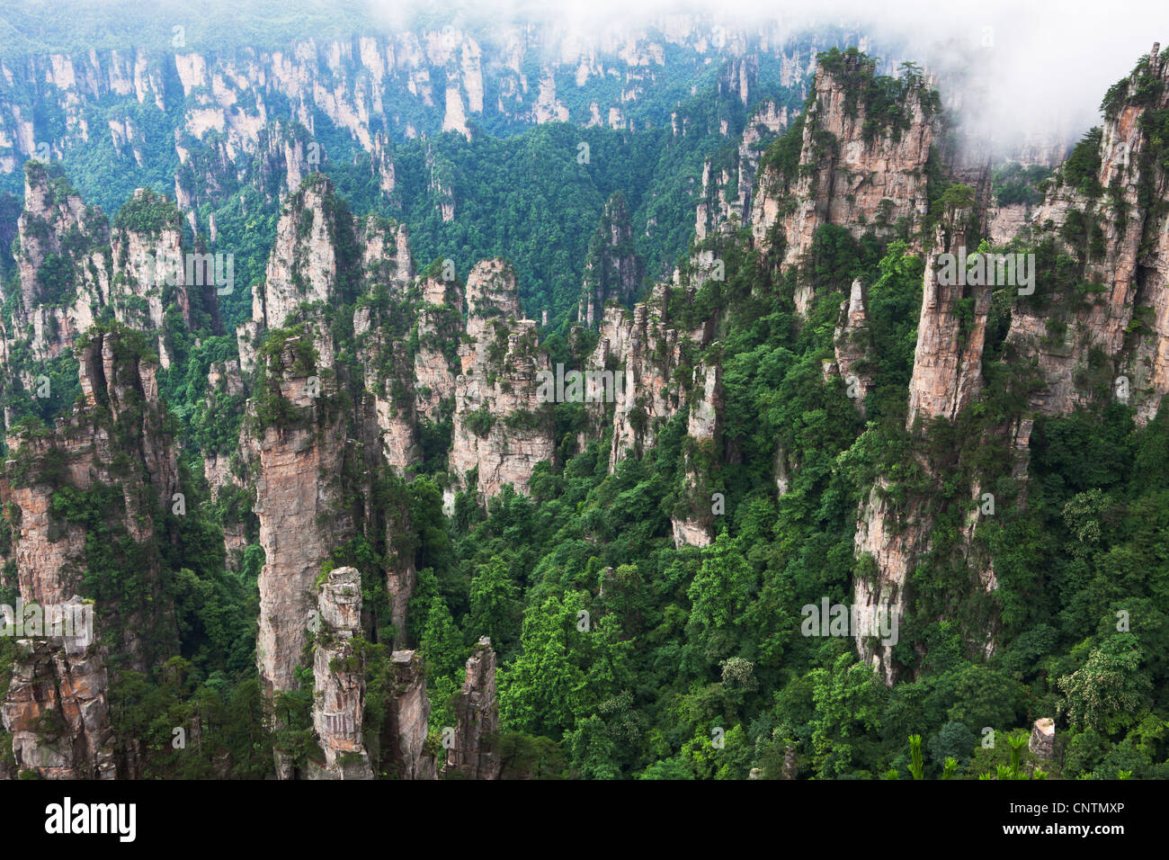 China，Nature Reserve，travel，scenics，Asia，Hill，mountain peak，tree， Steep，scenics，Topics，Land Feature，Travel Destinations， Stock Photo