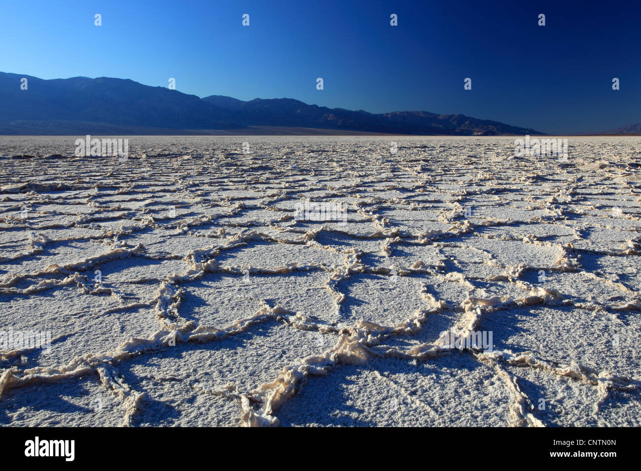 Death valley california at badwater hi-res stock photography and images ...