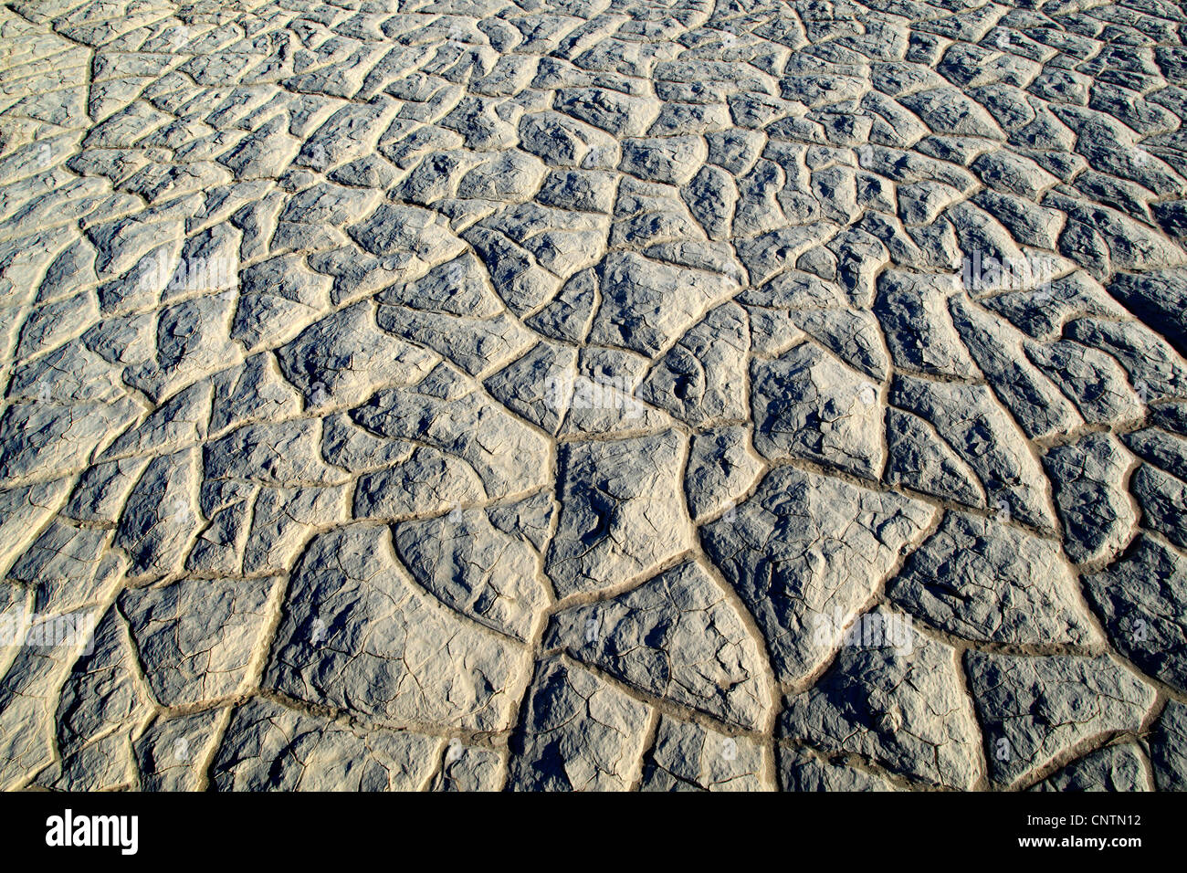 Clay soil with shrinkage cracks hires stock photography and images Alamy