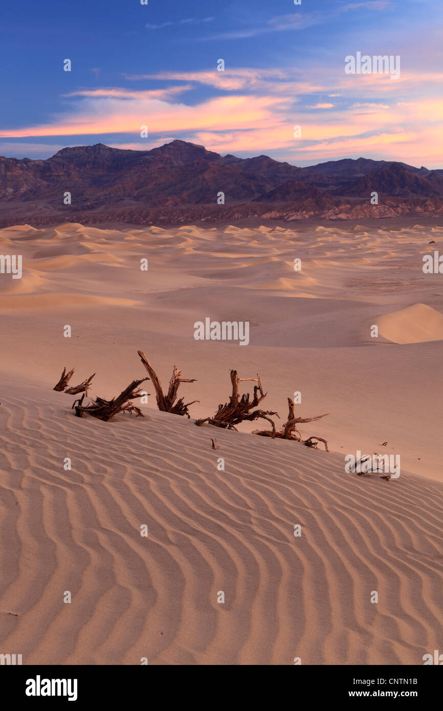 Mesquite Flats Sand Dunes, USA, California, Death Valley National Park Stock Photo