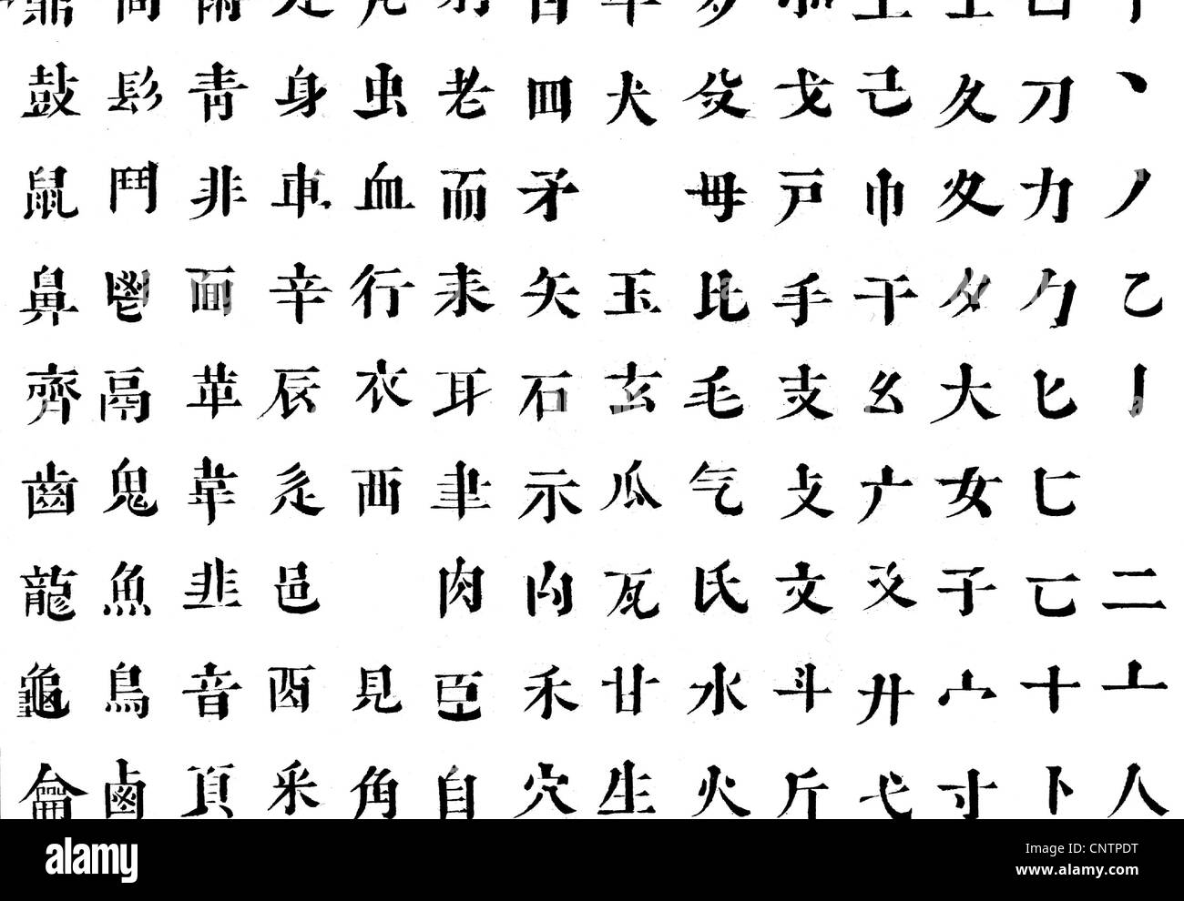 script, Chinese characters, excerpt from the Chinese alphabet, alphabetic character, China, historic, historical, Additional-Rights-Clearences-Not Available Stock Photo