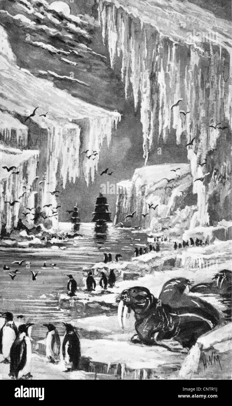 geography / travel, arctic, arrival of an expedition, illustration after Elisha Kane (1822 - 1857), ice, North Pole, walrus, walruses, penguin, penguins, 19th century,historic, historical, animal, animals, transport, transportation, navigation, sailing ship, sail, sailing ships, sails, Additional-Rights-Clearences-Not Available Stock Photo