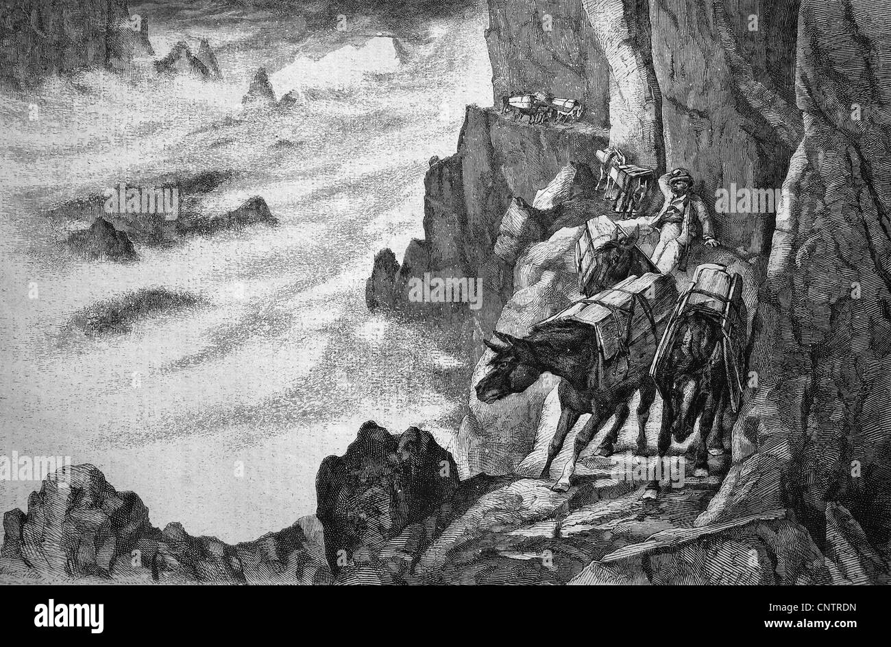 Smugglers in the mountains on a mule path, historical woodcut, circa 1870 Stock Photo