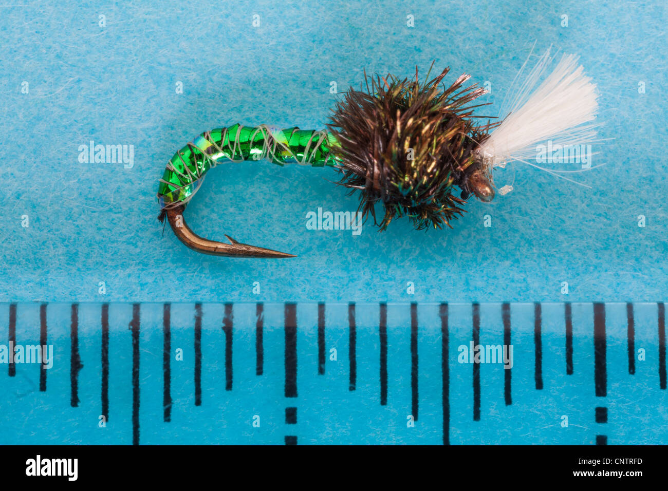 suspender buzzer trout fly Stock Photo