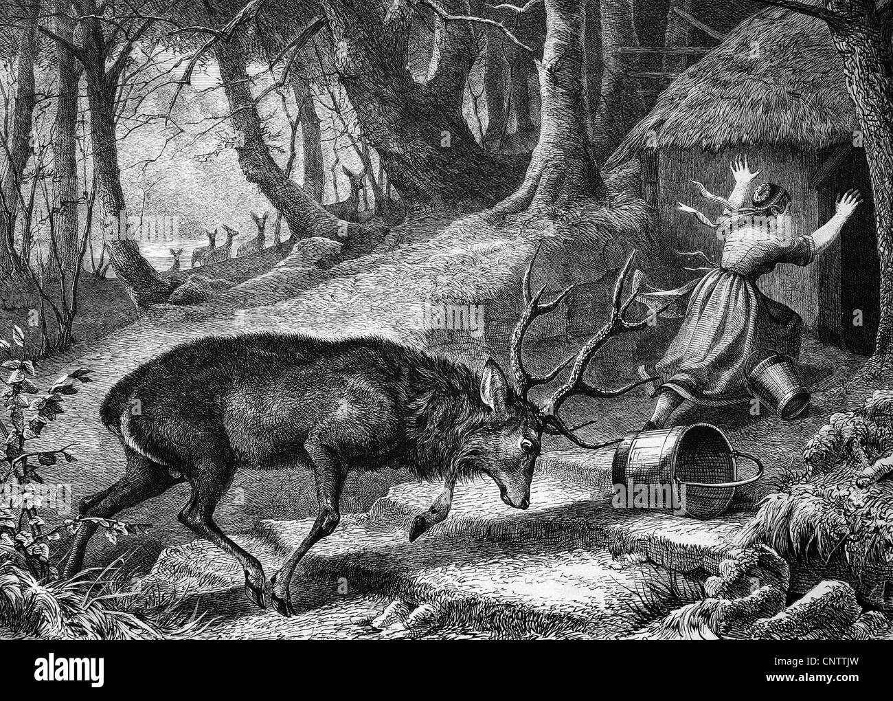 Deer attacking a farmer, historical engraving, 1869 Stock Photo