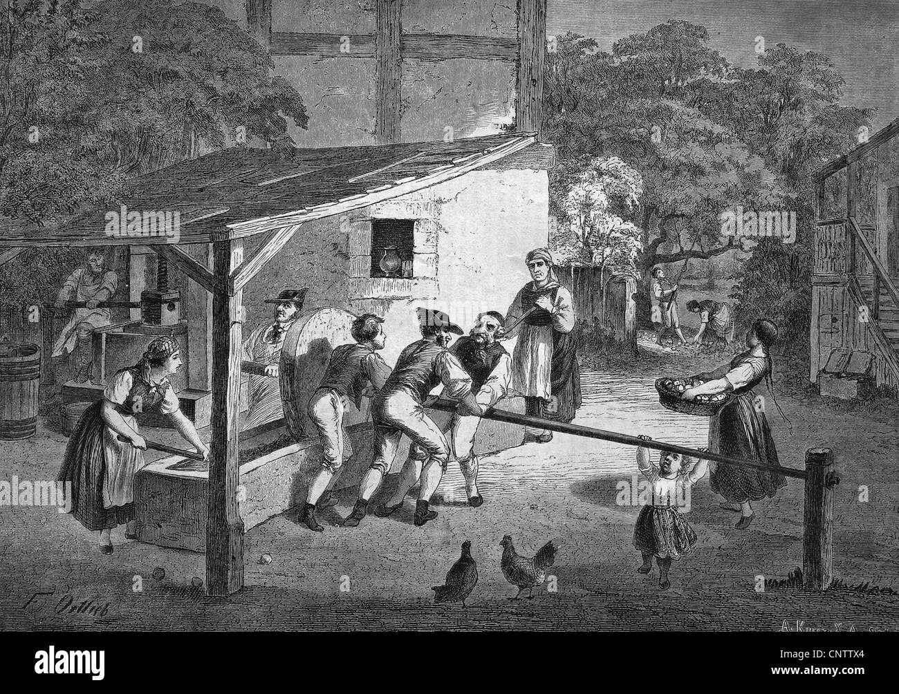 Men working on a must press in Swabia, Germany, historical engraving, 1869 Stock Photo