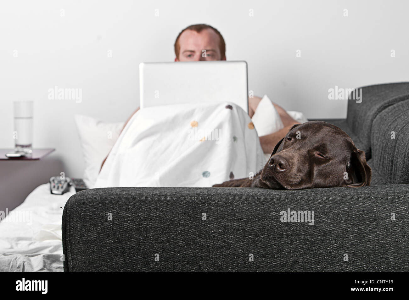 Man on Sofa with Laptop and Dog Stock Photo