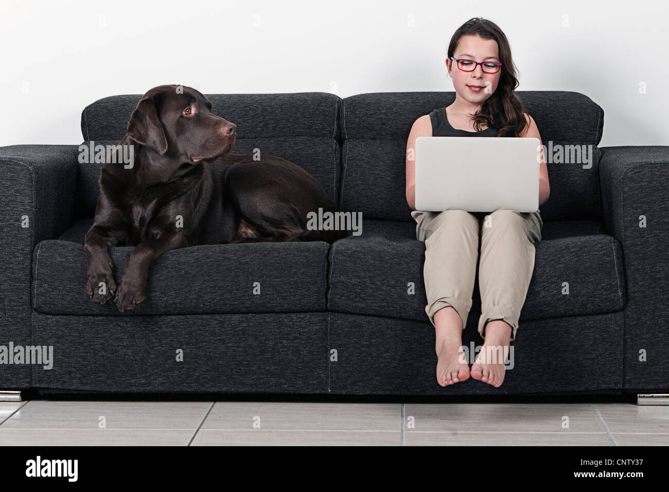 Child with Laptop and Labrador on Sofa Stock Photo