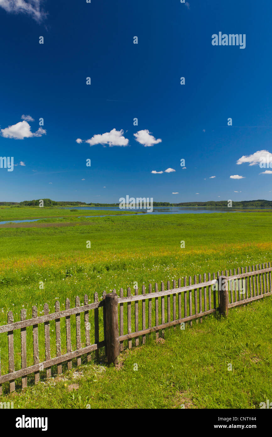 Russia, Pskovskaya Oblast, Pushkinskie Gory, landscape at Mikhailovskoye, the Alexander Pushkin Preserve Stock Photo