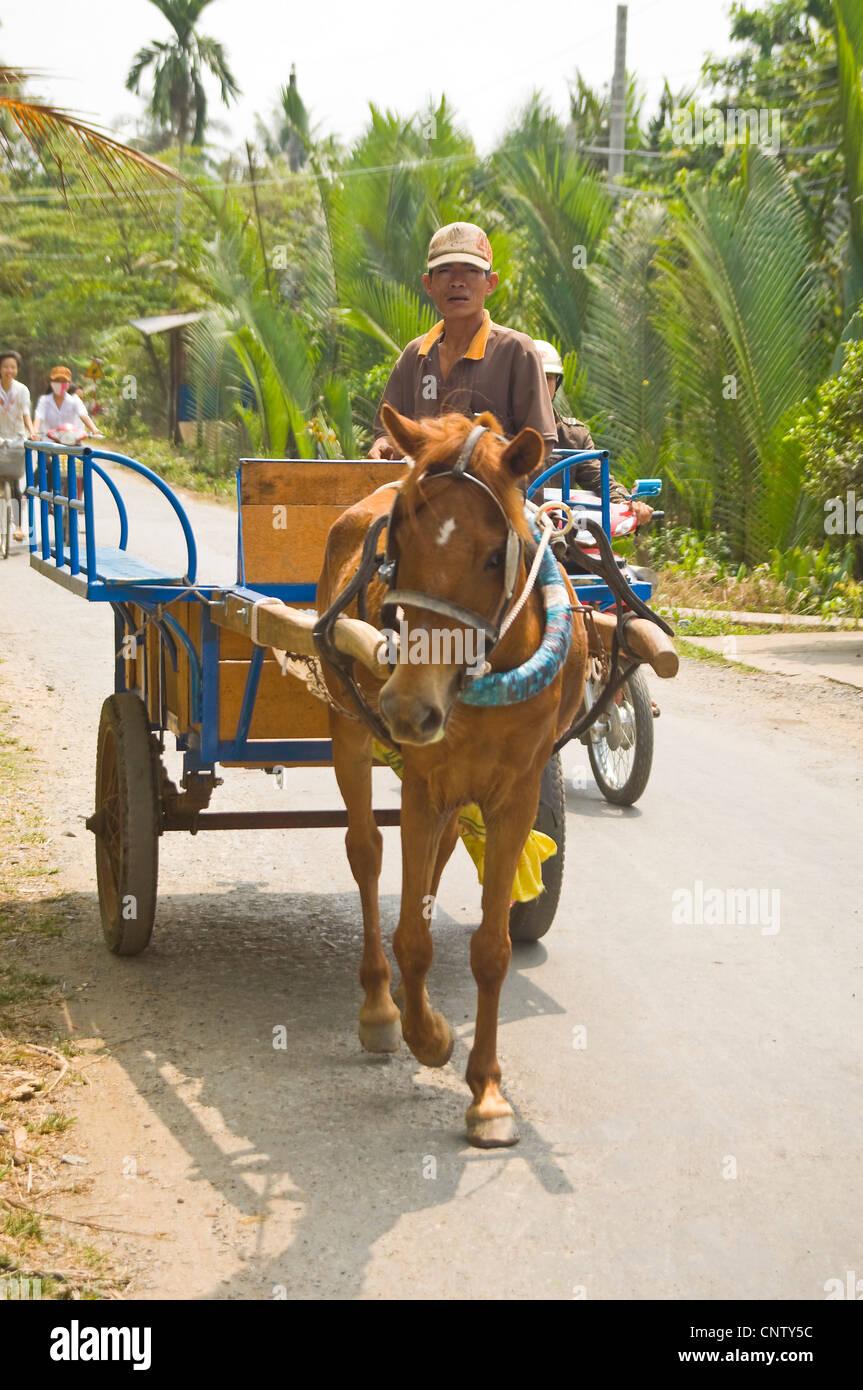 Vertical view of a pony and cart travelling along a country road in Vietnam. Stock Photo