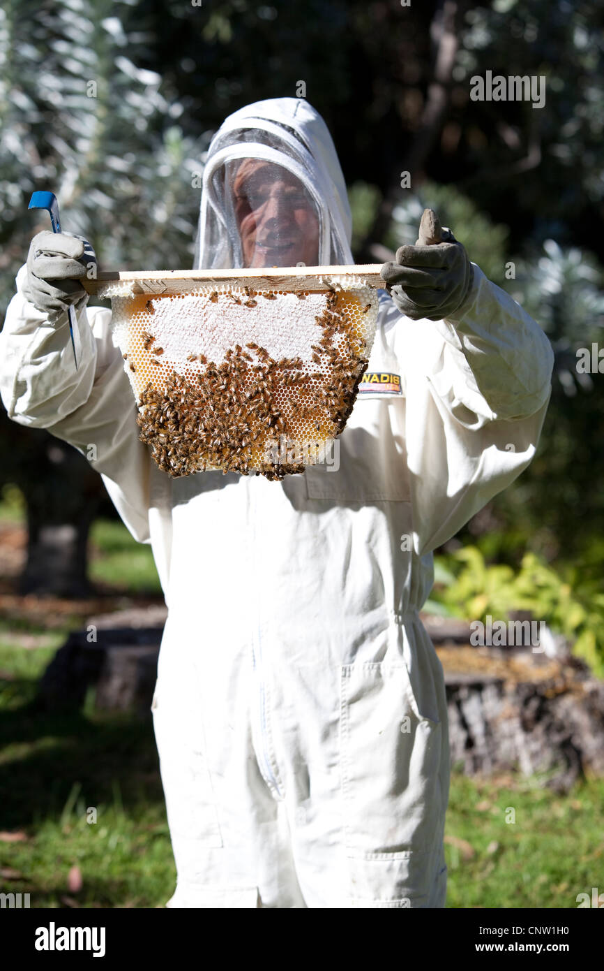 Bee Suit Man High Resolution Stock Photography And Images Alamy