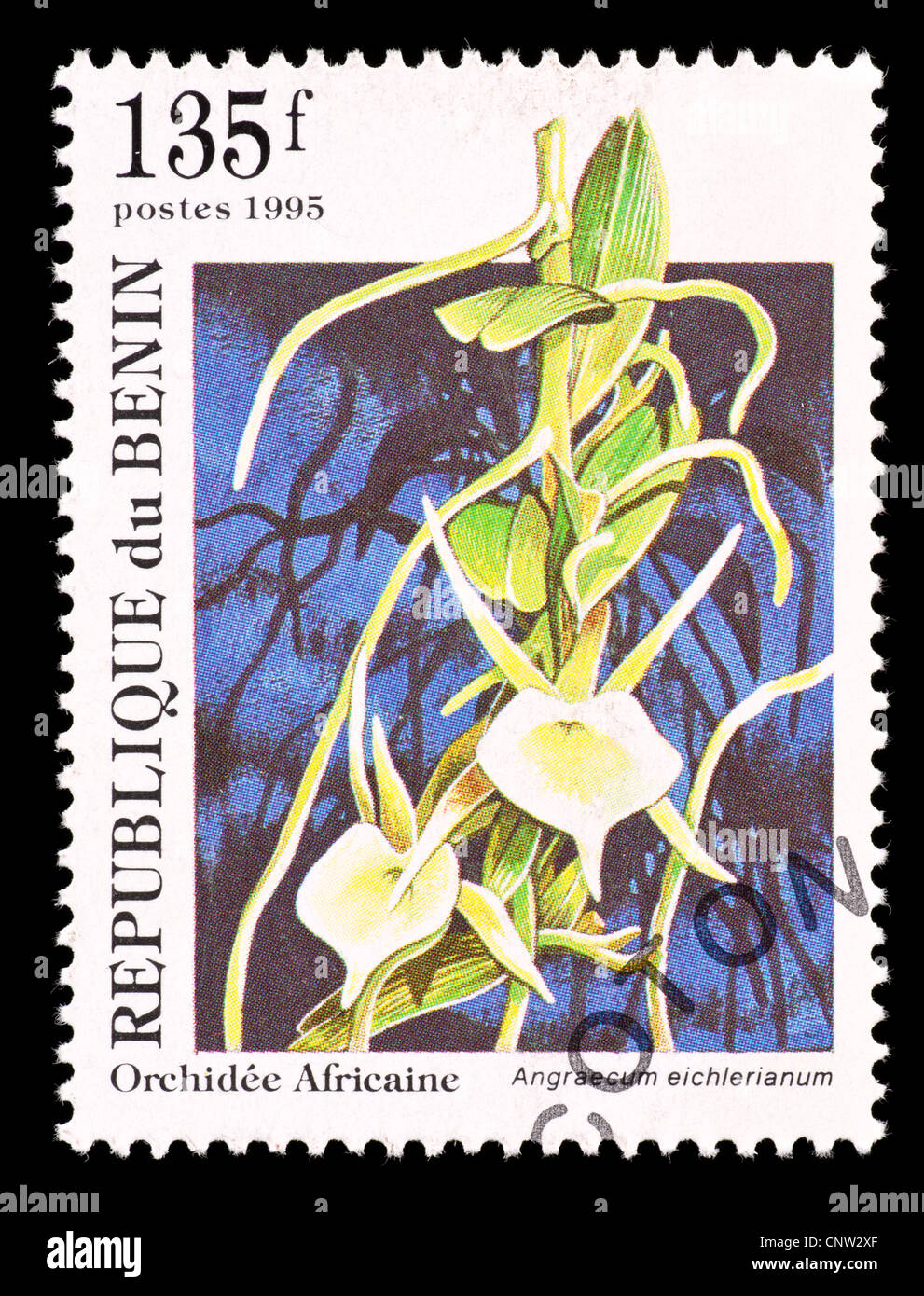 Postage stamp from Benin depicting a African orchid (Angreacum eichlerianum) Stock Photo