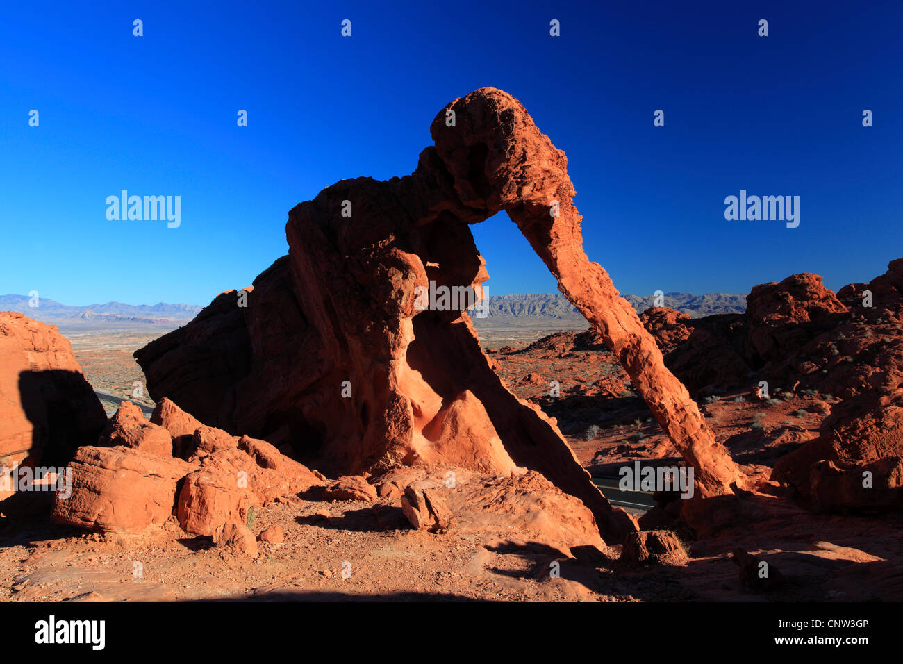Elephant Rock, sandstone formed by wind and water, USA, Nevada, Valley of Fire State Park Stock Photo