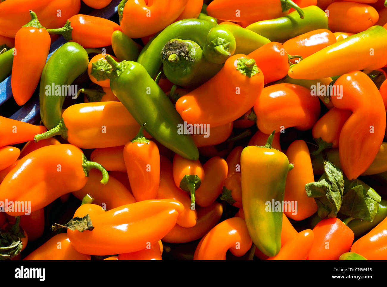 Peruvian hot pepper, Aji Pepper, Aji Habanero, Chili, Lemon Drop, Hot