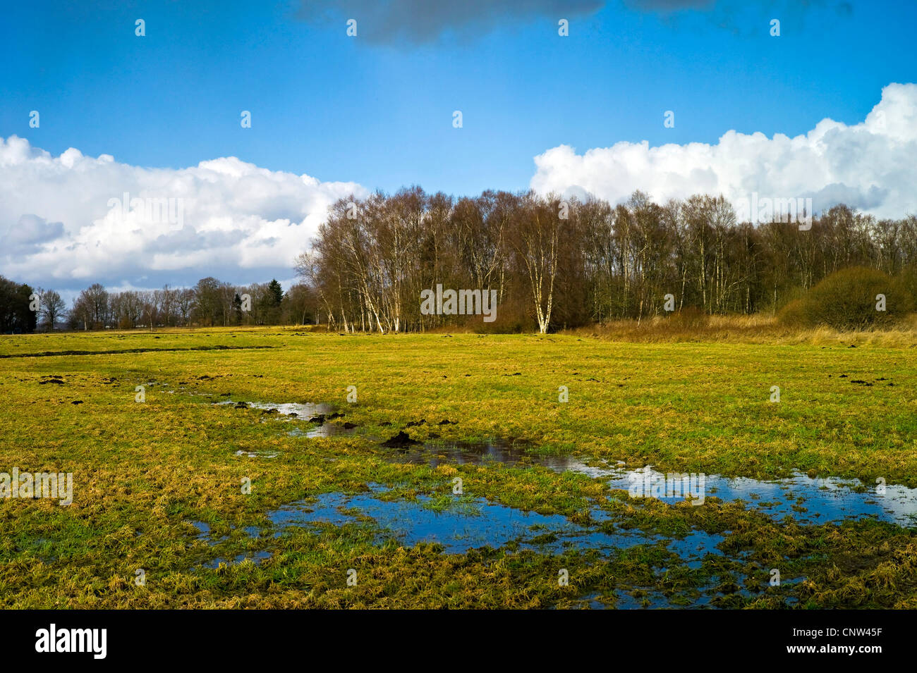 Teufelsmoor at Worpswede, Germany, Lower Saxony, Landkreis Osterholz Stock Photo