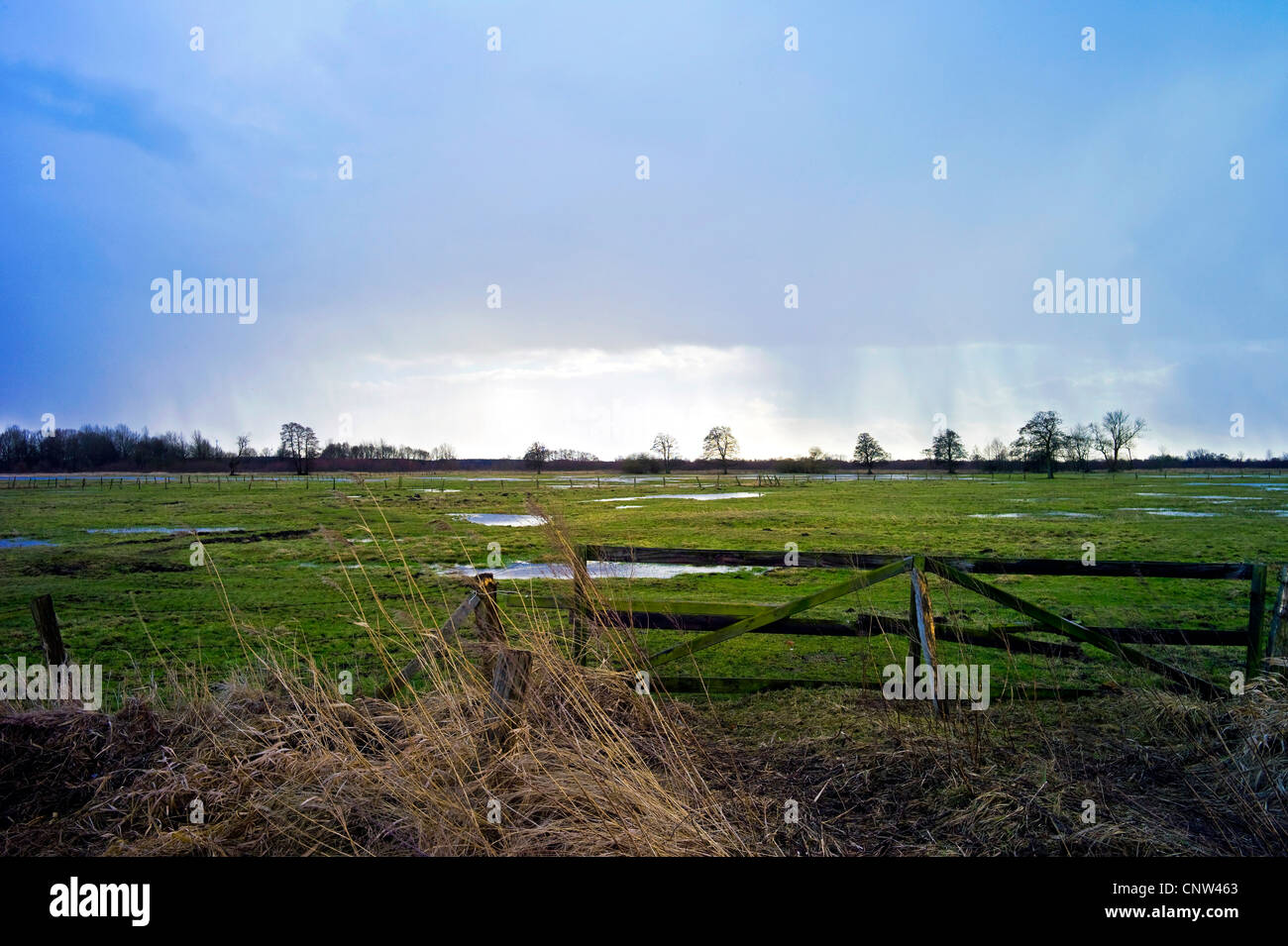 wet meadows fenced in at River Wuemme, Germany, Lower Saxony, Landkreis Verden, Fischerhude Stock Photo