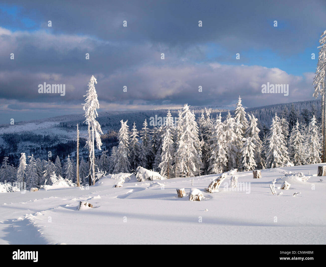 winter landscape in Bayerischer Wald, Germany, Bavaria, Bavarian Forest National Park, Dreisesselberg Stock Photo