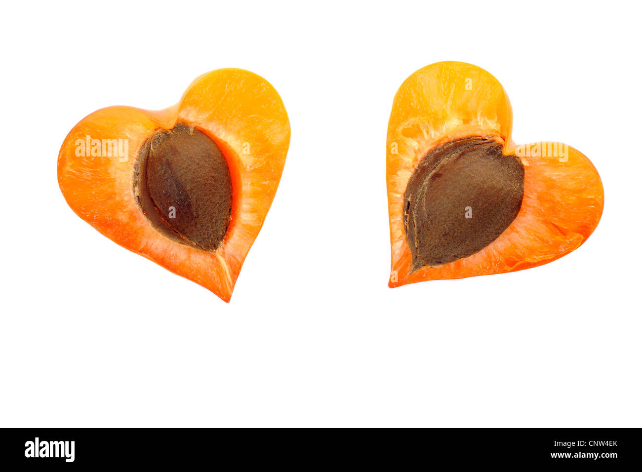 apricot tree (Prunus armeniaca), heart-shaped apricot Stock Photo