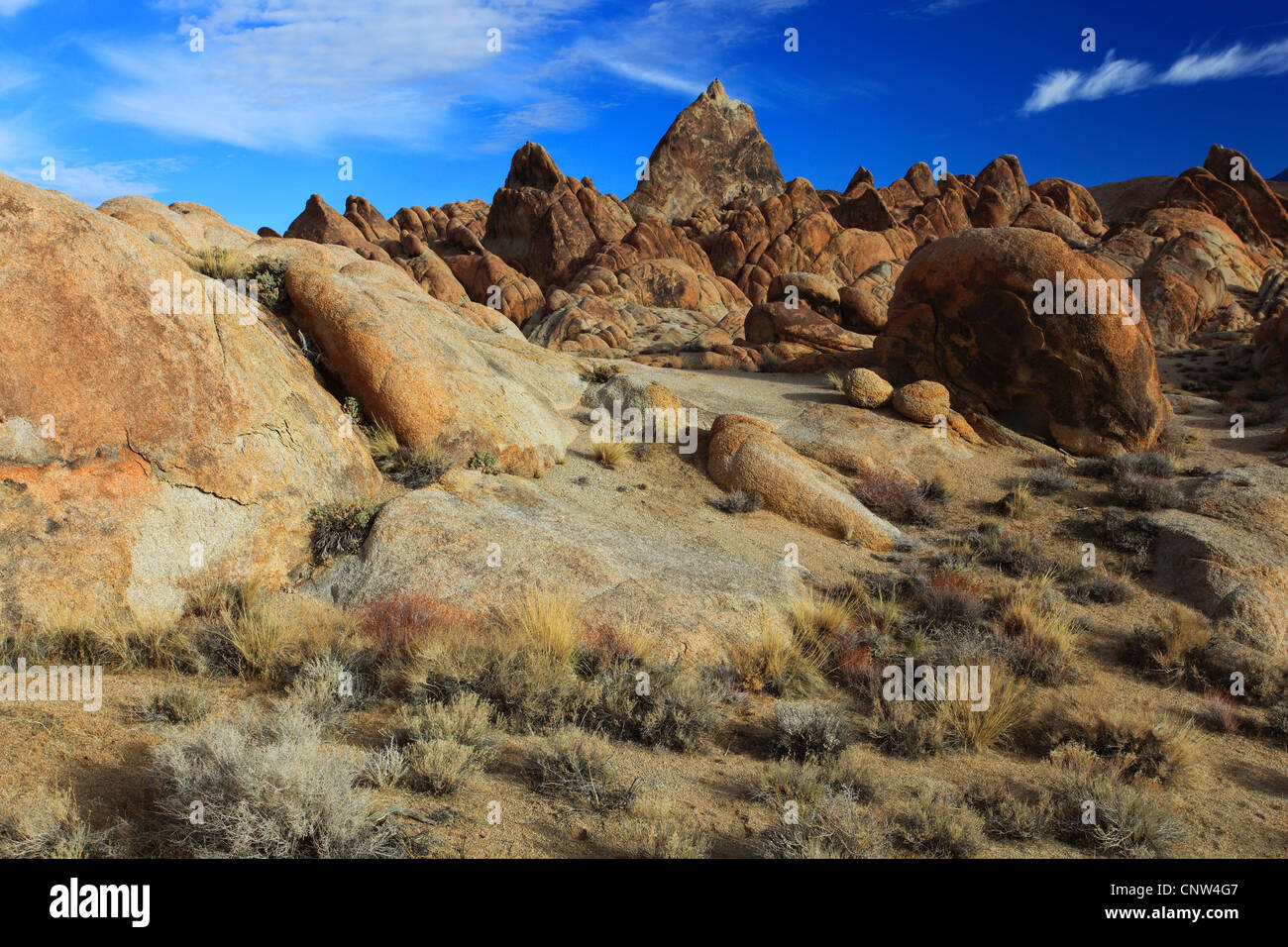 granite rocks, in the background the Sierra Nevada mountain range with