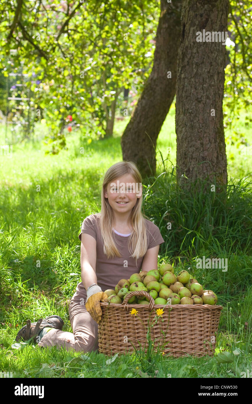 apple tree (Malus domestica), girl sitting under an apple tree with a big basket full of apples Stock Photo