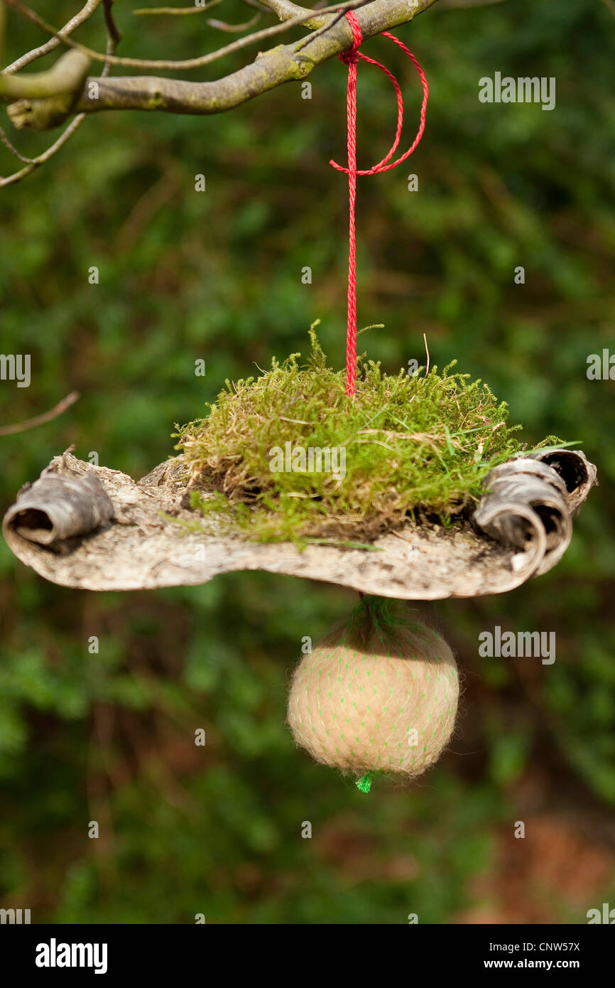 self-made dispenser for nesting material hanging from a branch Stock Photo