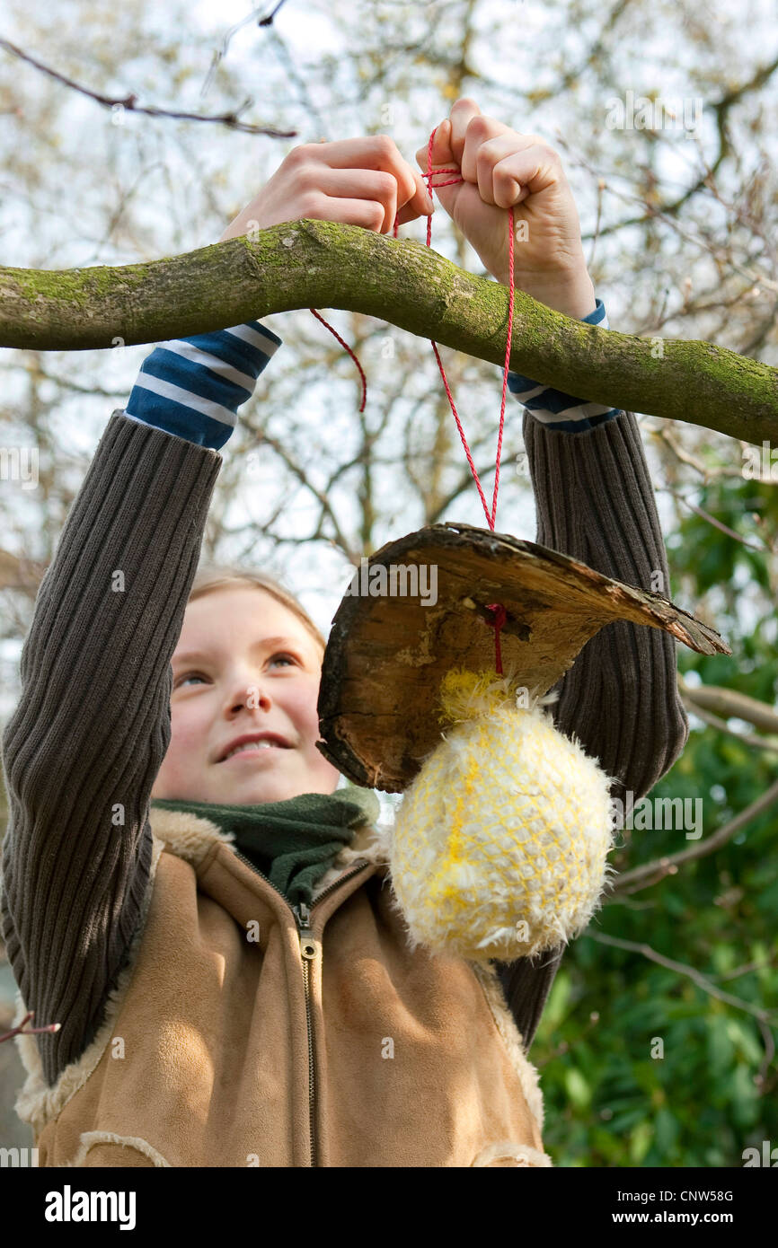 girl fixing a self-made dispenser for nesting material at a branch Stock Photo