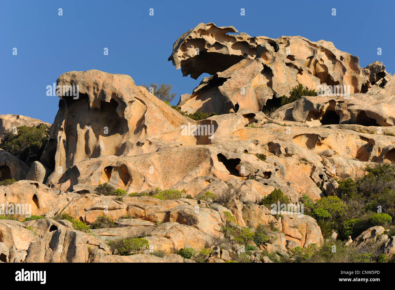 Capo dOrso, bear from stone is the landmark of Sardinia, Italy, Sardegna, Palau Stock Photo