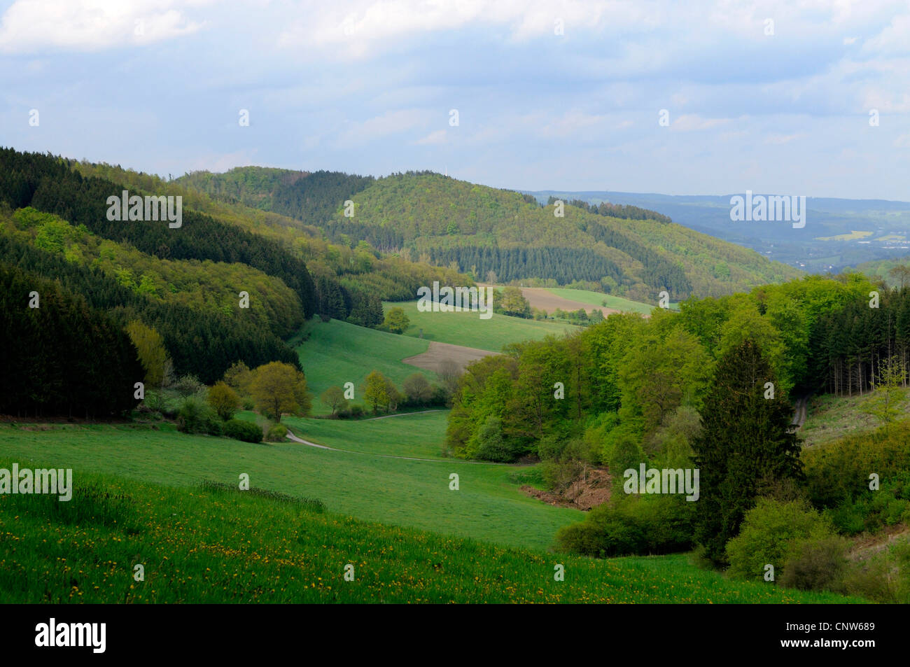 valley in low mountain range in spring, Germany, North Rhine-Westphalia, Sauerland, Meschede Stock Photo