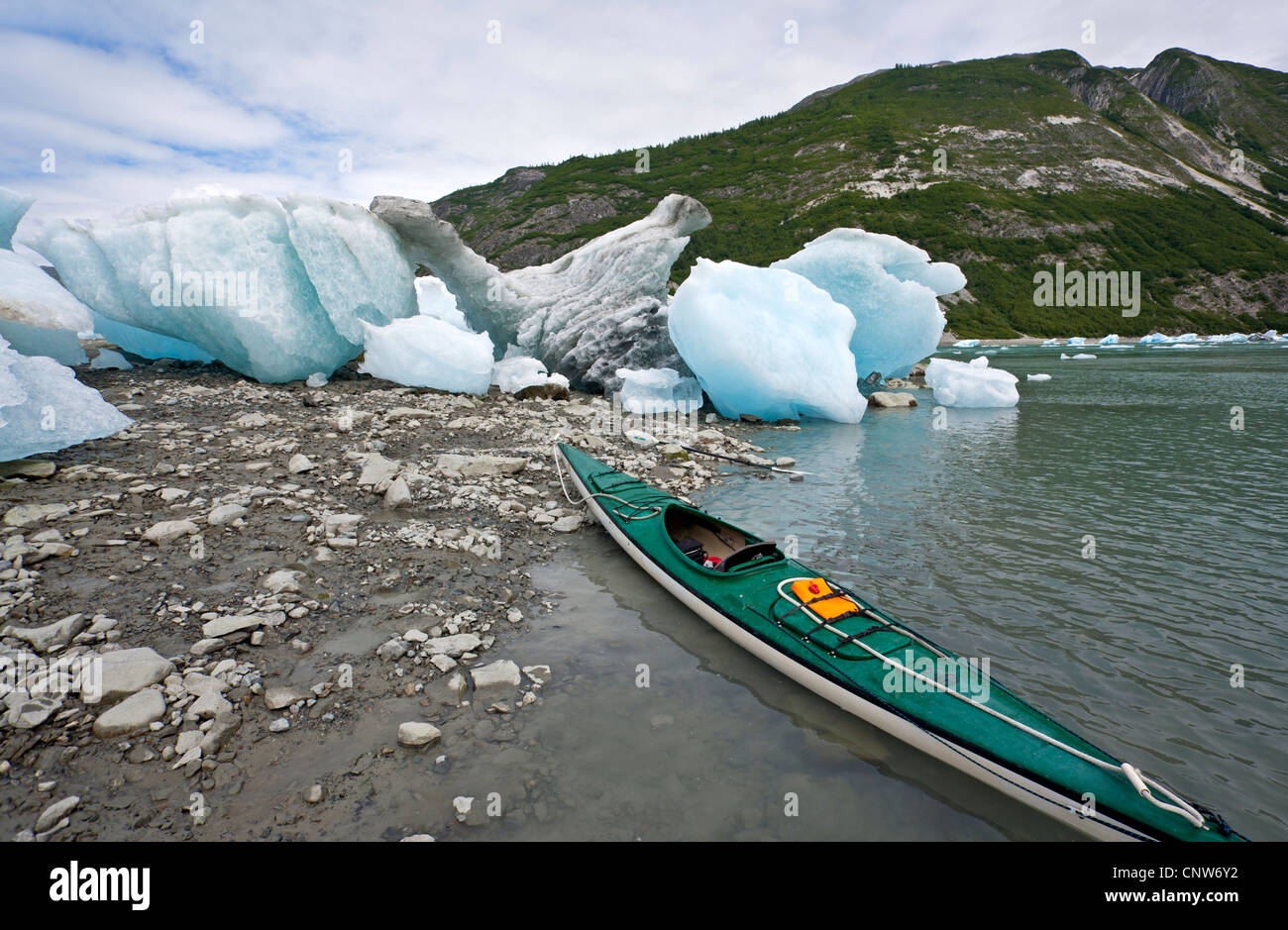 Trapped icebergs at low tide. Muir´s Inlet. Glacier Bay National Park. Alaska. USA Stock Photo